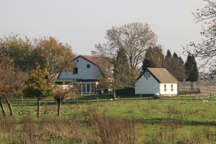 Photo 34 of Polder 38