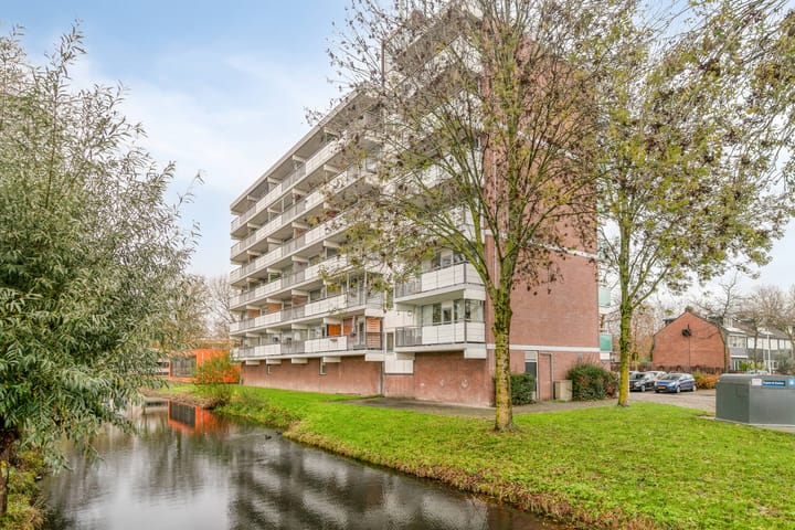 P.J.M. Aalbersestraat 20