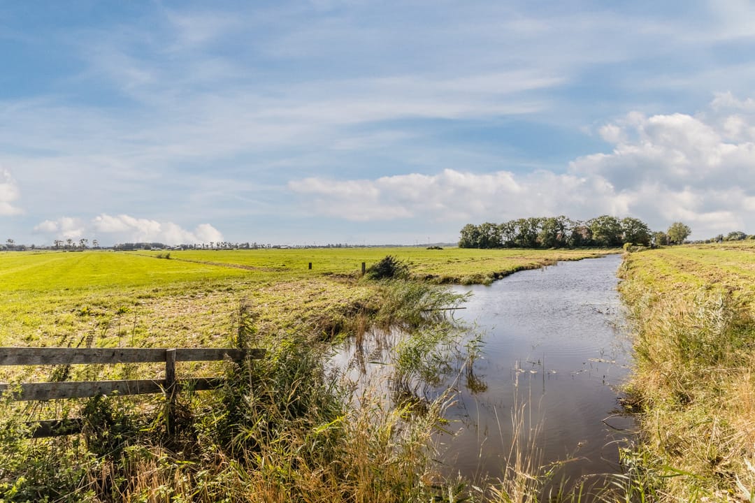 Foto 52 van De Omloop 58