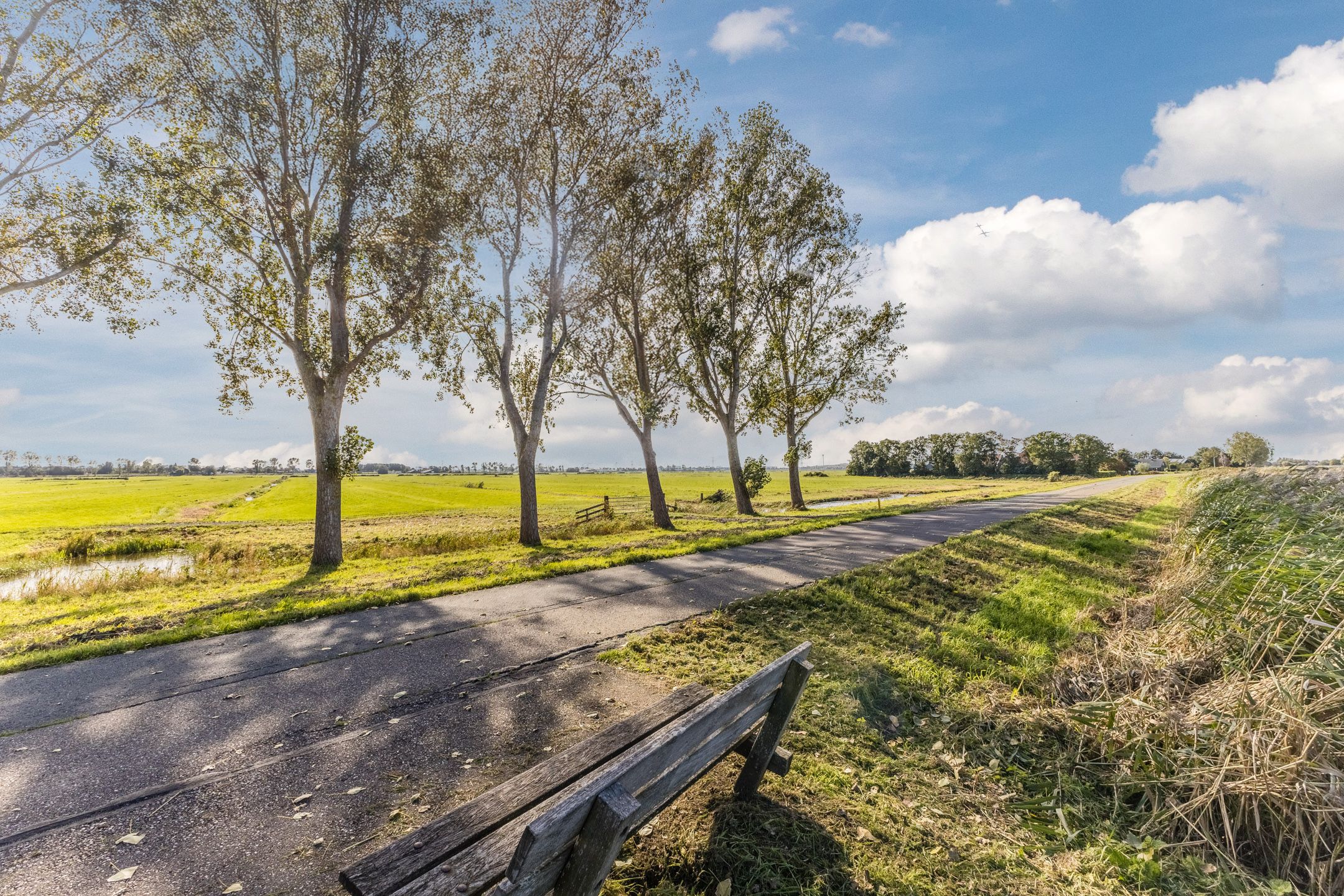 Foto 51 van De Omloop 58