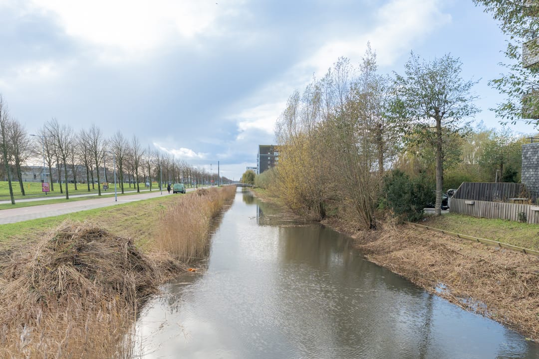 Foto 23 van Rottumeroog 136