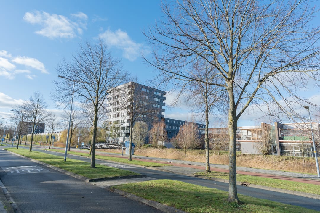 Foto 26 van Rottumeroog 136