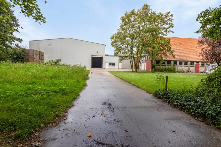 Foto 3 van Ankerpad 10