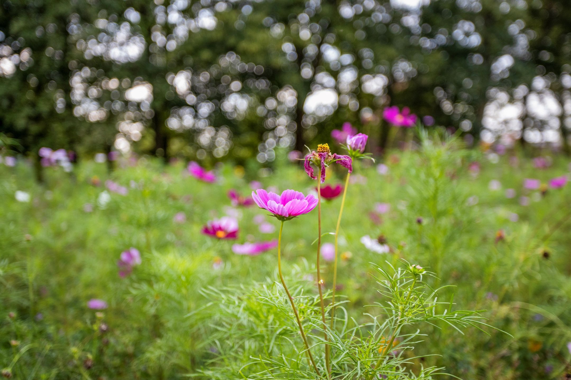 Photo 9 of Ankerpad 10