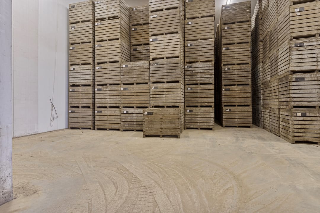 Photo 56 of Ankerpad 10