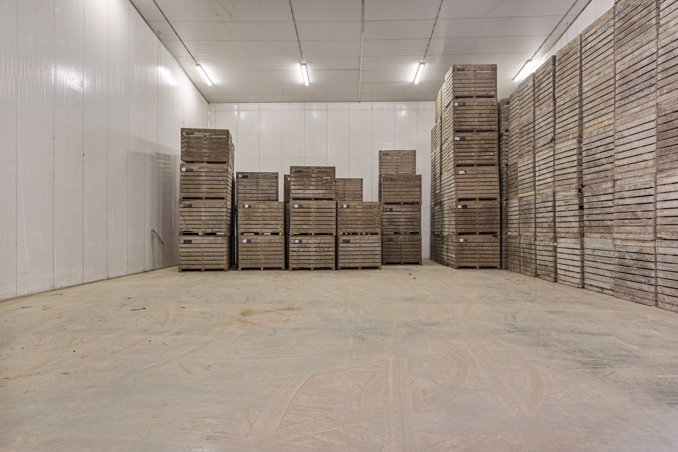 Photo 54 of Ankerpad 10