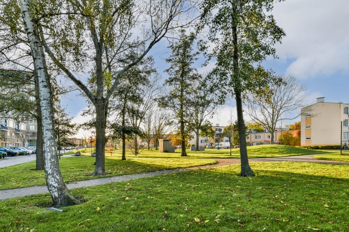 Photo 34 of Primulahof 64