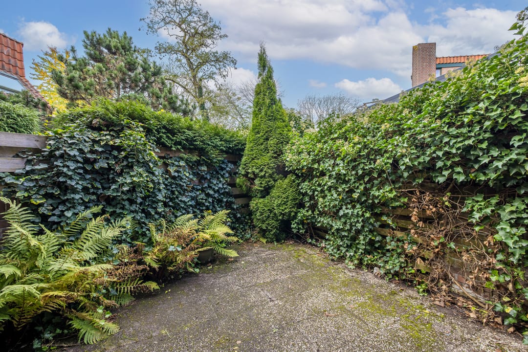 Foto 38 van Zwaluw 24