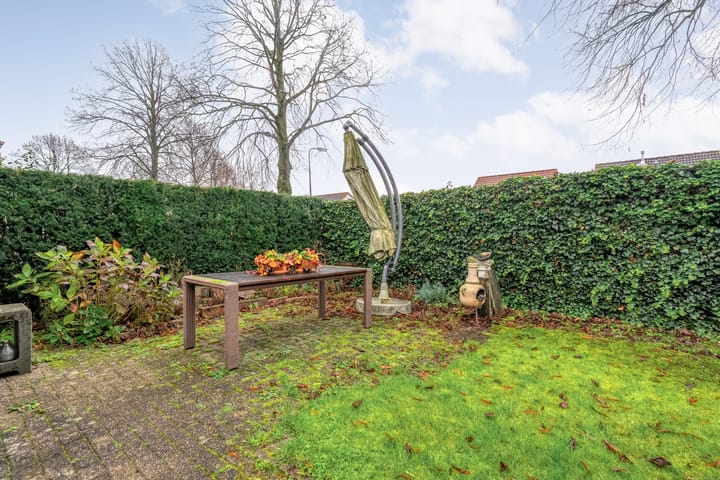 Photo 37 of De Pony 2