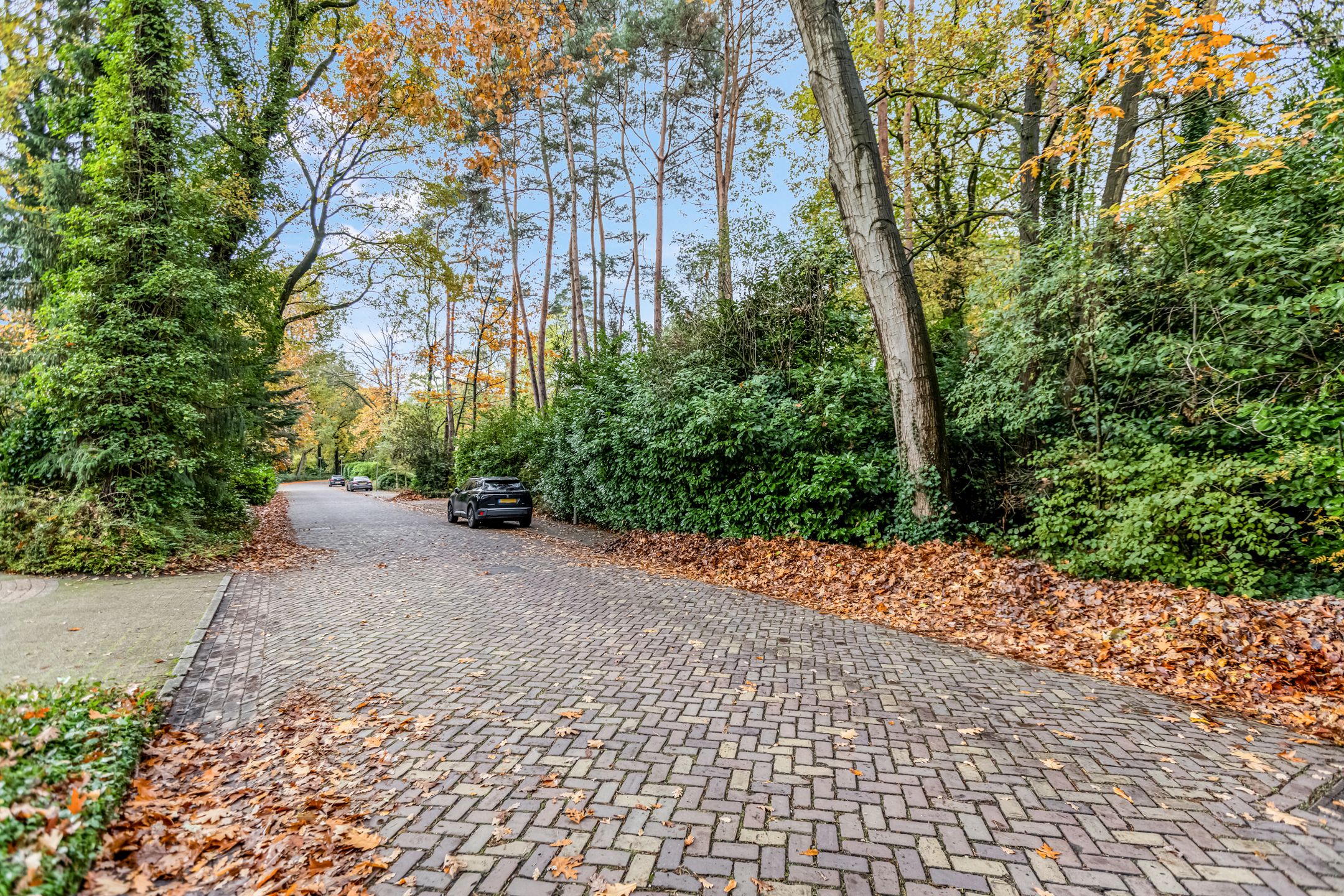 Photo 51 of Koning Davidlaan 23