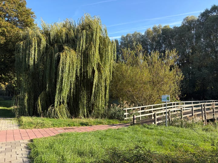 Photo 8 of Astronautenlaan 218