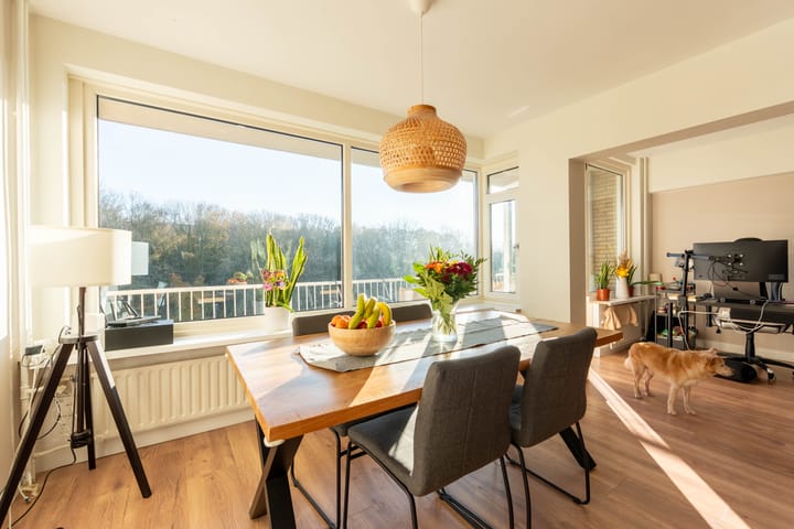 Foto 5 van Edmond Hellenraadstraat 69