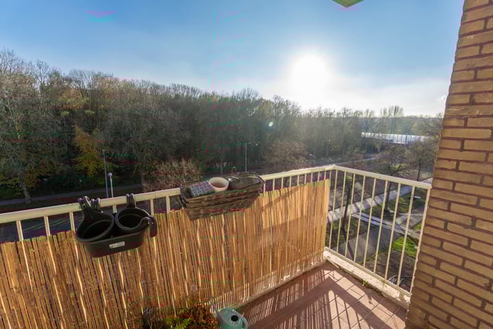 Foto 10 van Edmond Hellenraadstraat 69