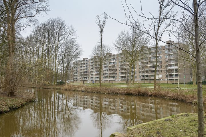 Foto 16 van Edmond Hellenraadstraat 69