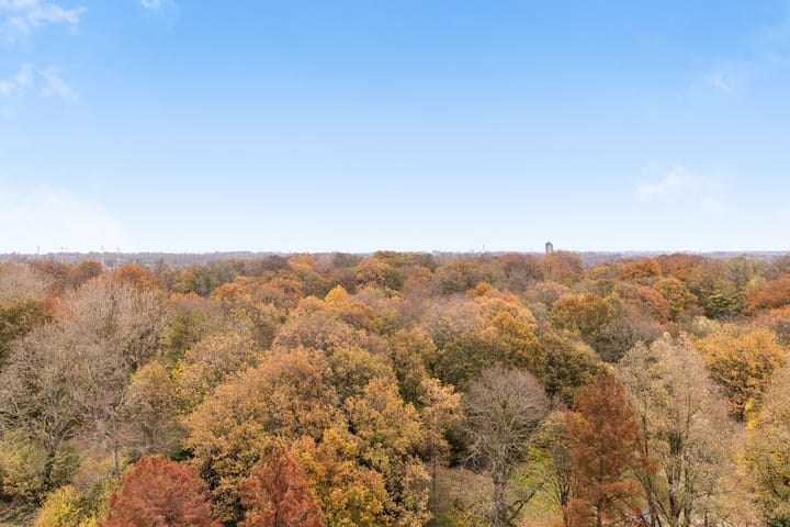 Foto 24 van Overkampweg 221