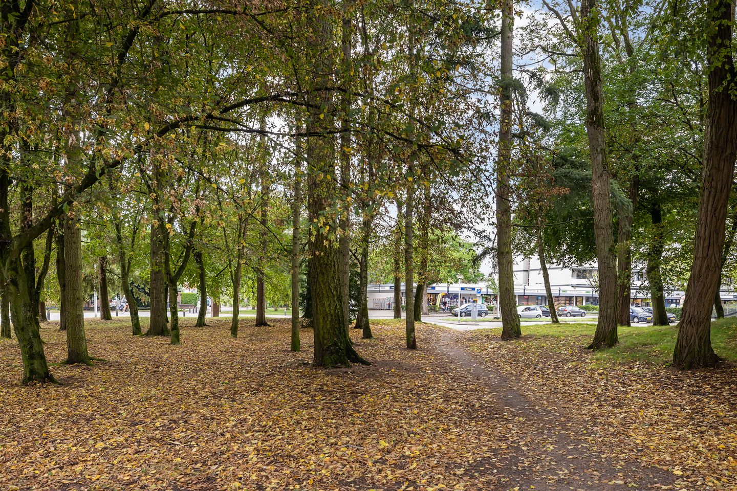 Foto 14 van Arnoldus Stramroodlaan 31