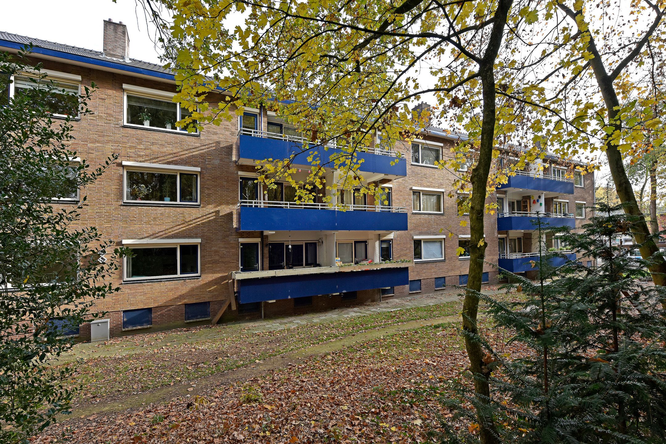 Foto 15 van Arnoldus Stramroodlaan 31