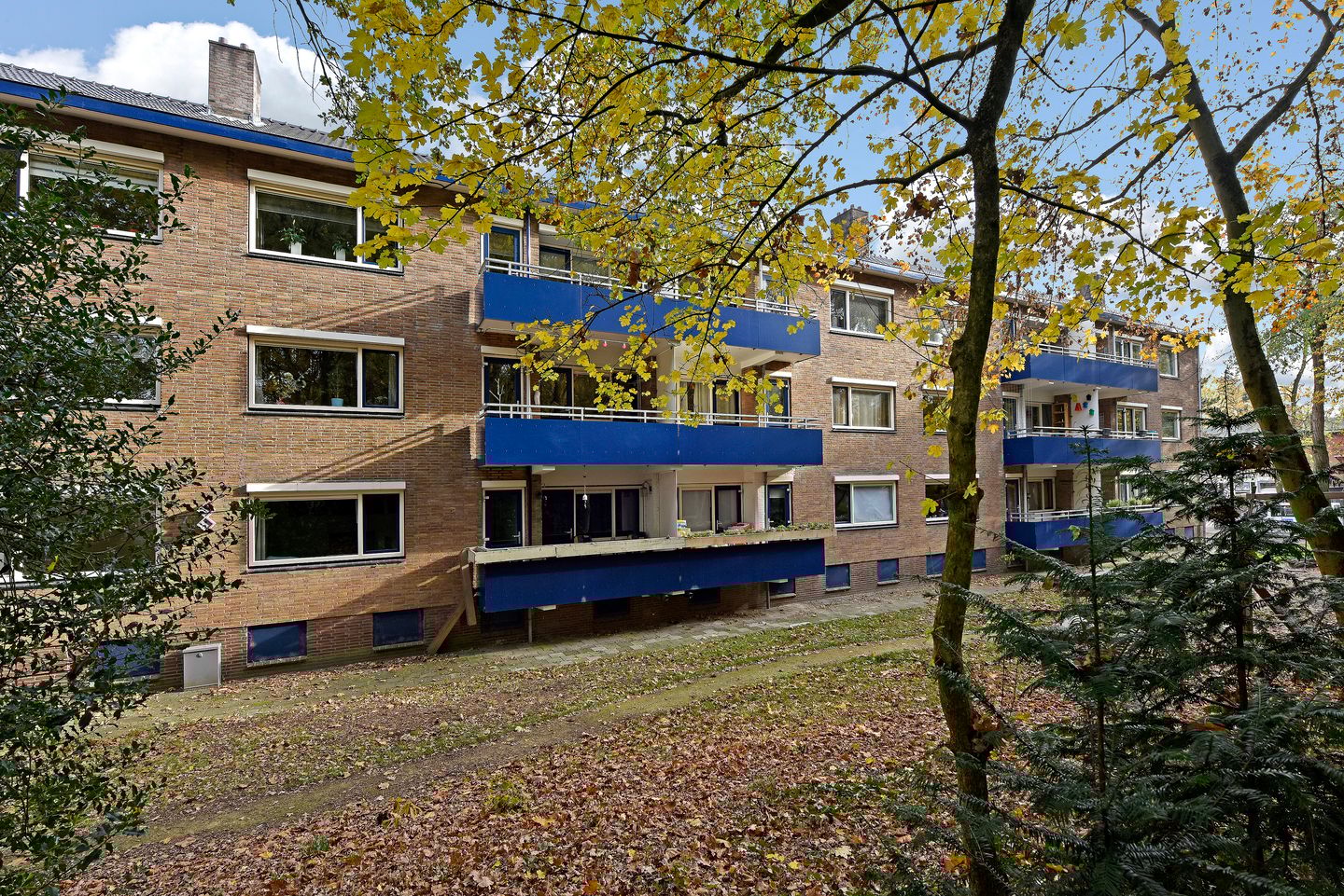 Foto 19 van Arnoldus Stramroodlaan 31