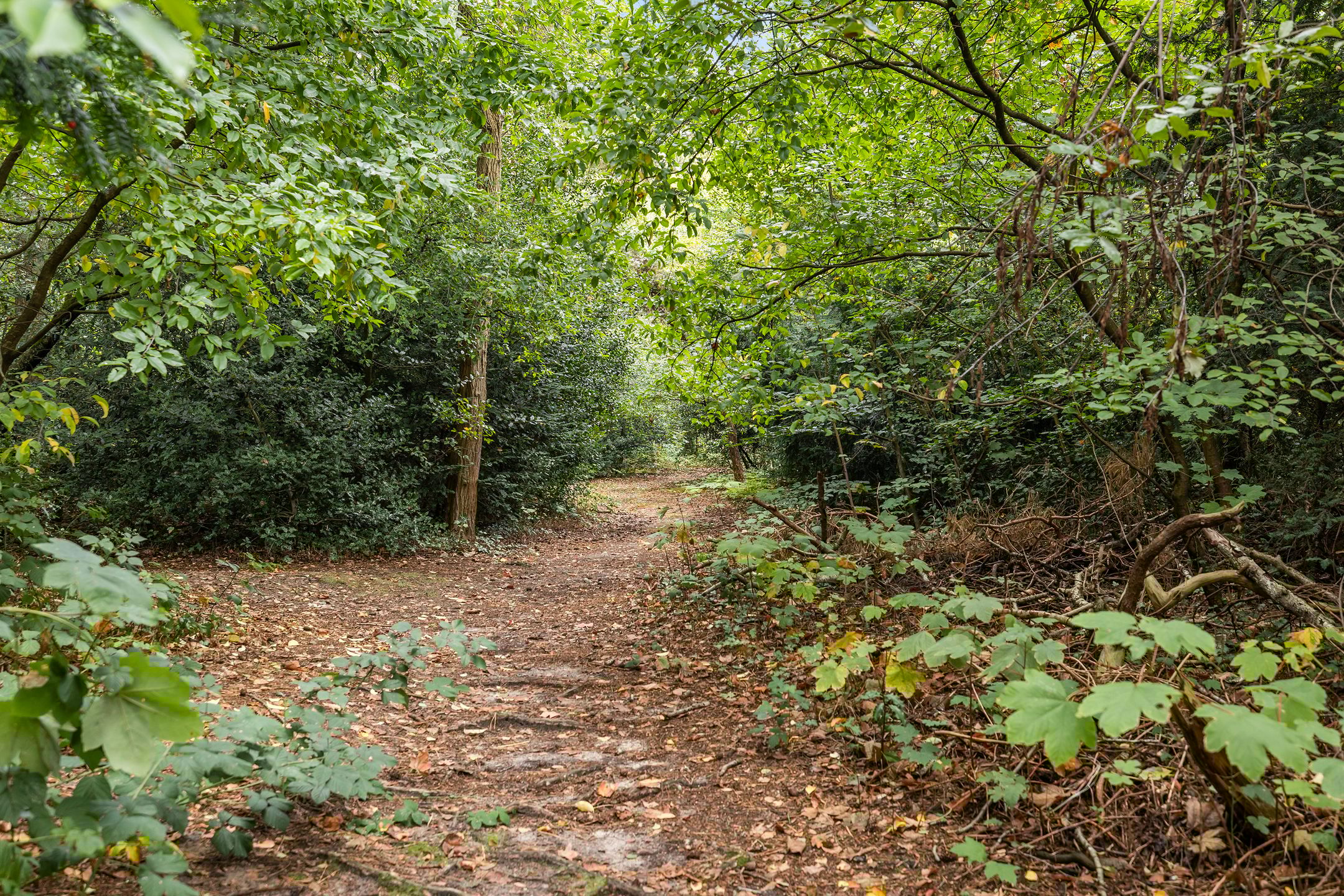 Foto 21 van Arnoldus Stramroodlaan 31