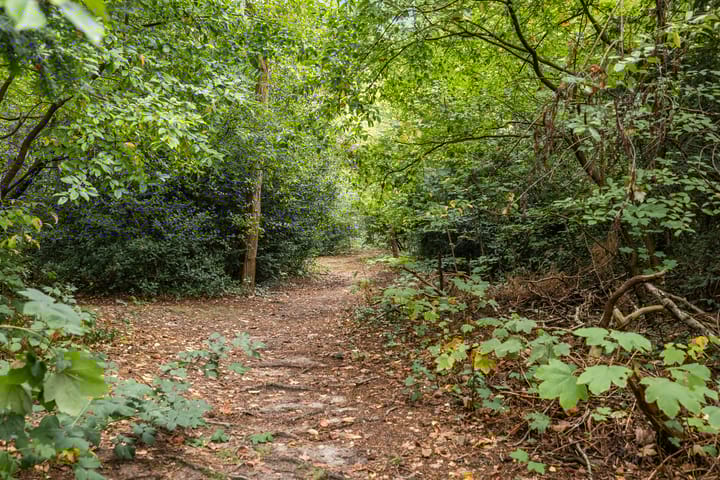 Photo 21 of Arnoldus Stramroodlaan 31