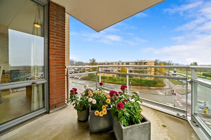 Foto 12 van Drijver 91