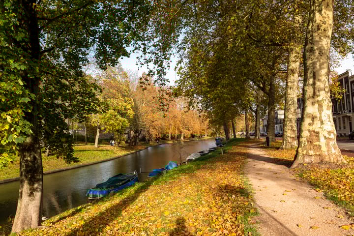 Photo 40 of Vondellaan 53-J