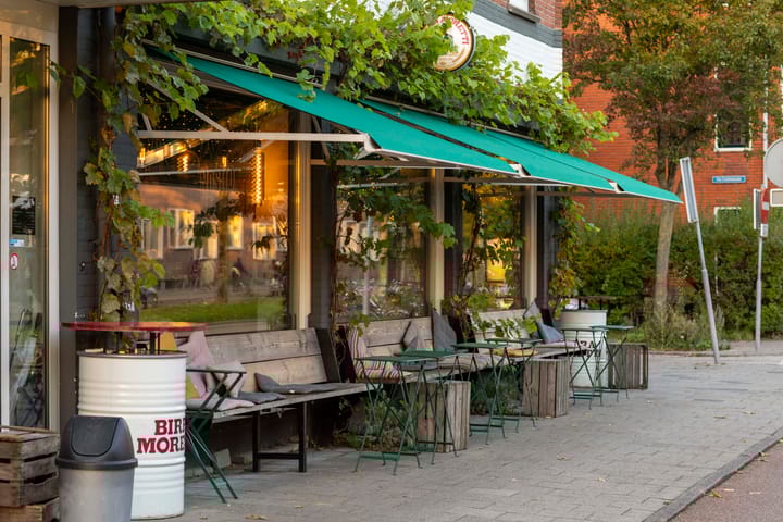 Photo 44 of Vondellaan 53-J