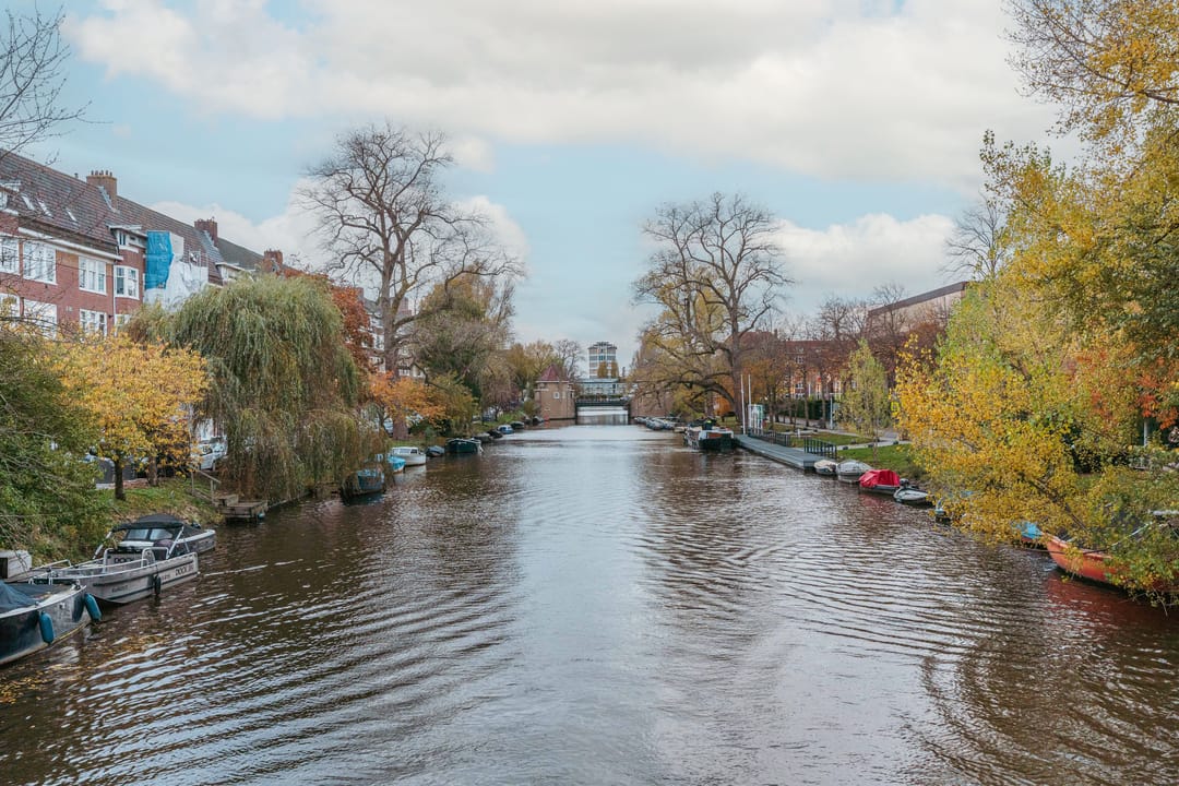 Foto 22 van President Kennedyplantsoen 35