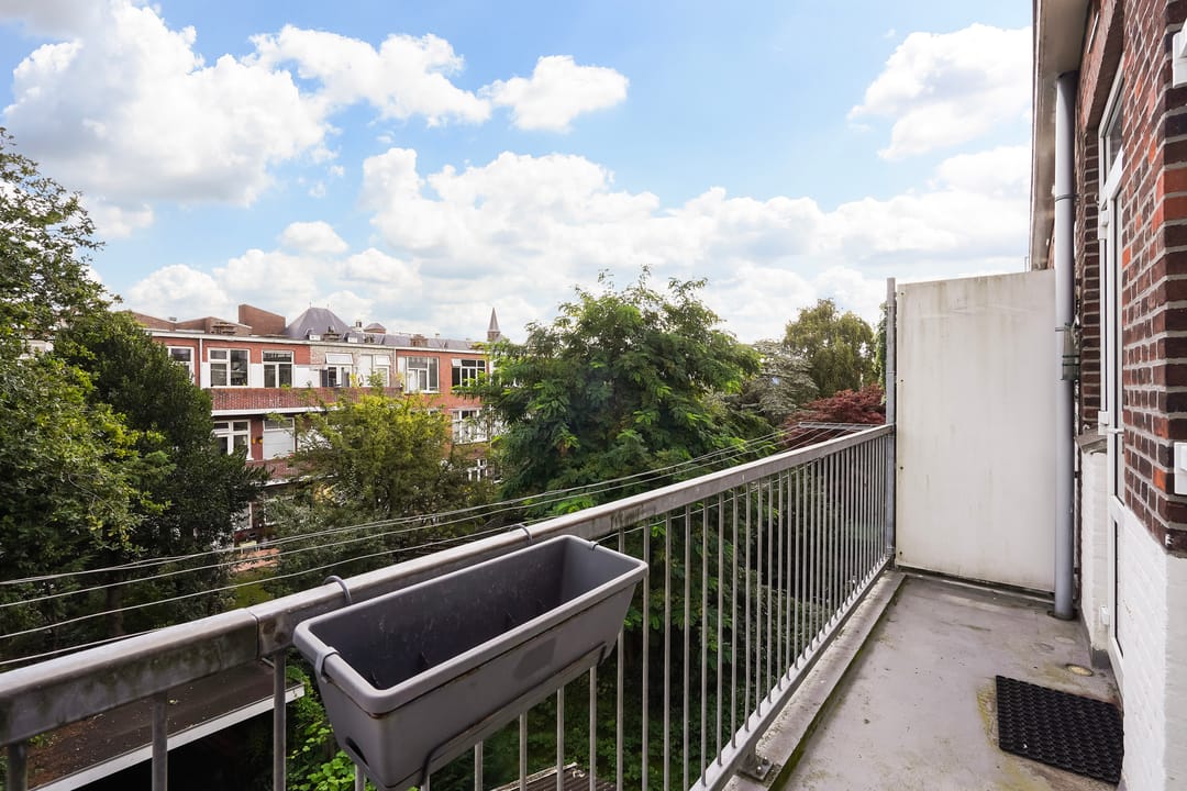 Foto 16 van Vlierboomstraat 193