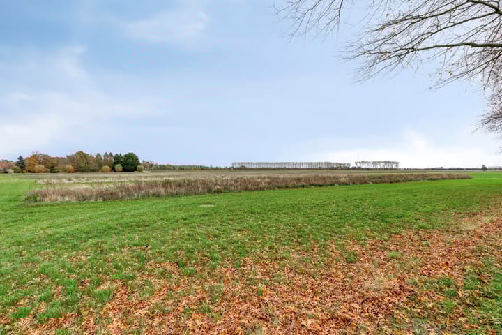 Foto 37 van Van Nispenstraat 15