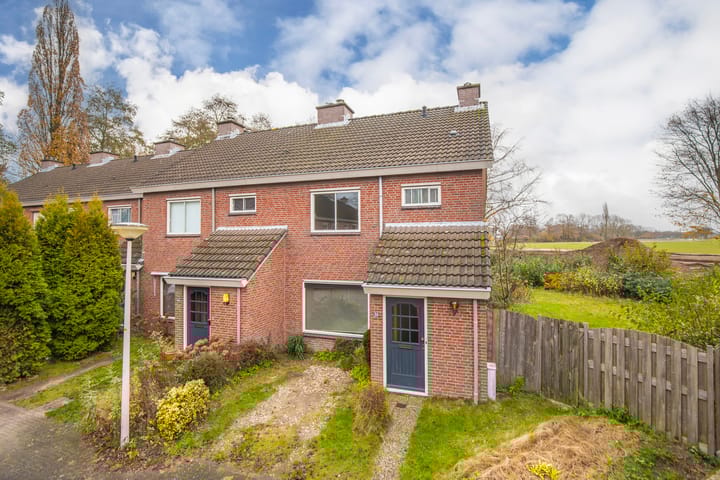 Foto 5 van de Meidoorn 38