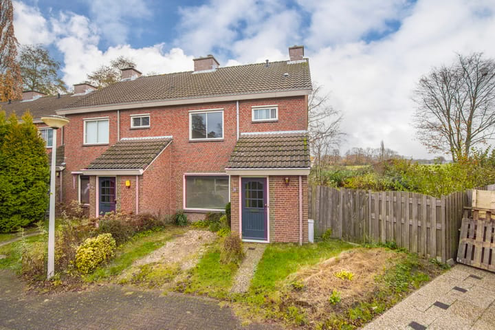 Foto 6 van de Meidoorn 38