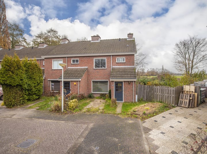 Foto 7 van de Meidoorn 38