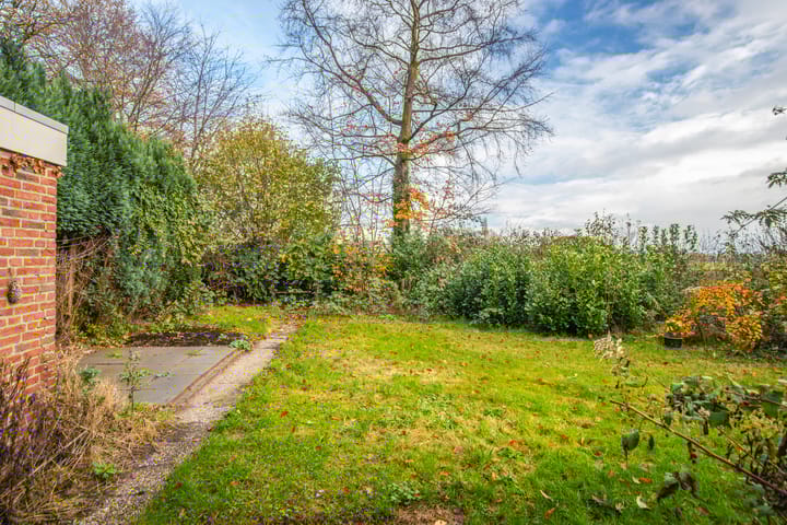 Foto 17 van de Meidoorn 38