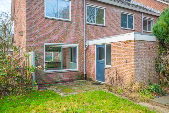 Foto 18 van de Meidoorn 38