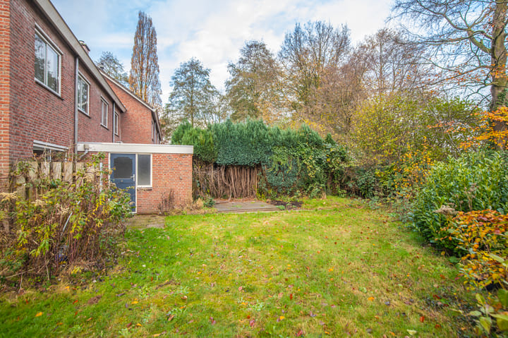 Foto 24 van de Meidoorn 38