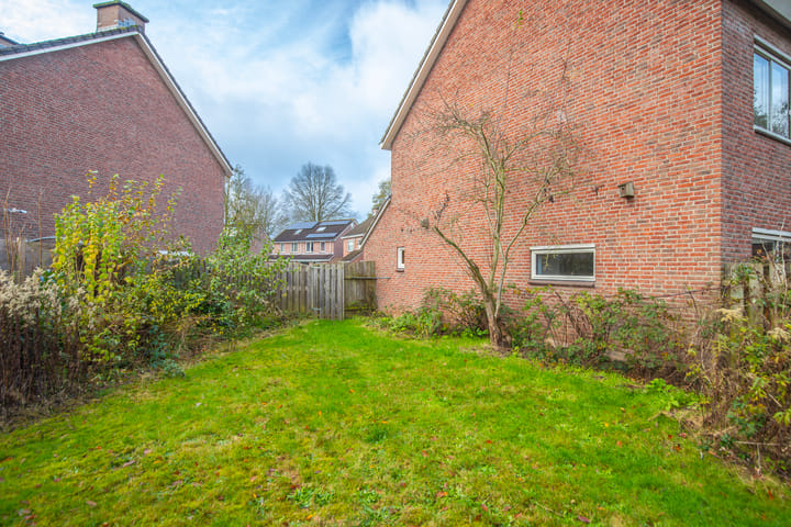 Foto 25 van de Meidoorn 38