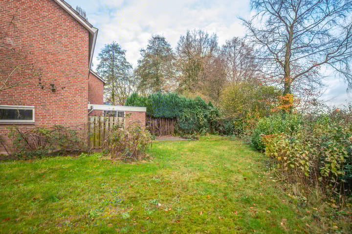 Foto 26 van de Meidoorn 38