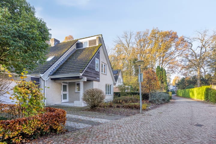 Foto 44 van Erasmuslaan 19