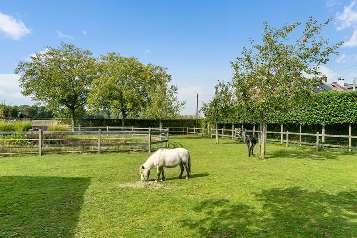 Photo 20 of Bonaertsweg 6