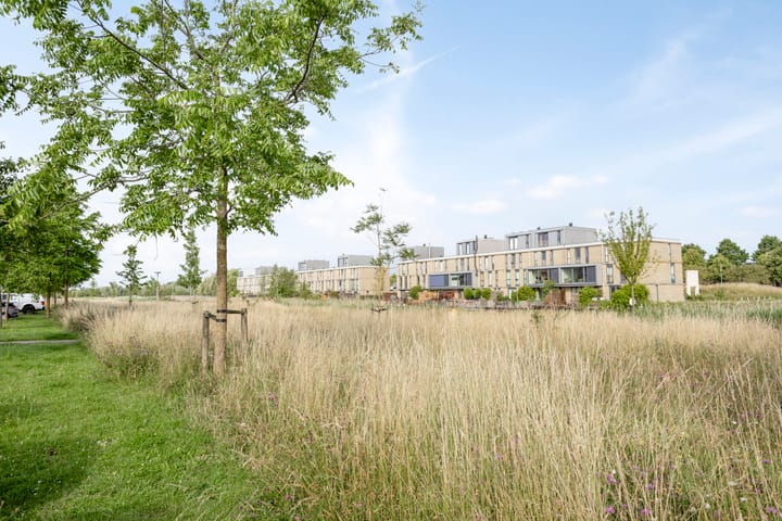 Foto 40 van Biesheuvelstraat 147