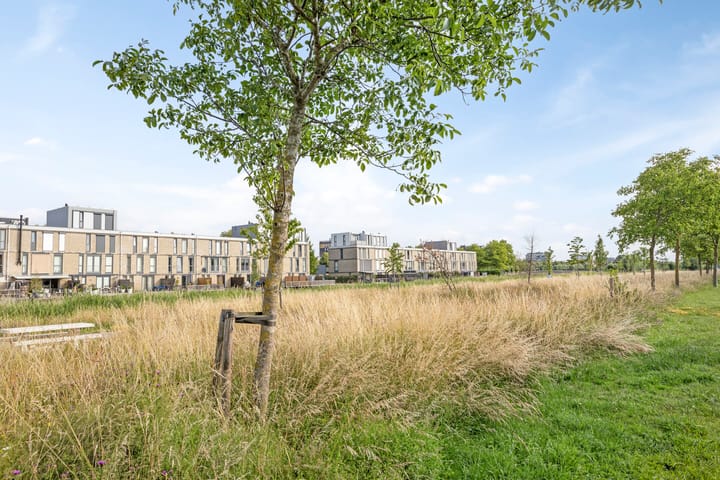 Foto 41 van Biesheuvelstraat 147