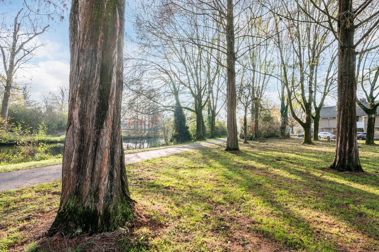 Foto 40 van Kleine Beerpad 39