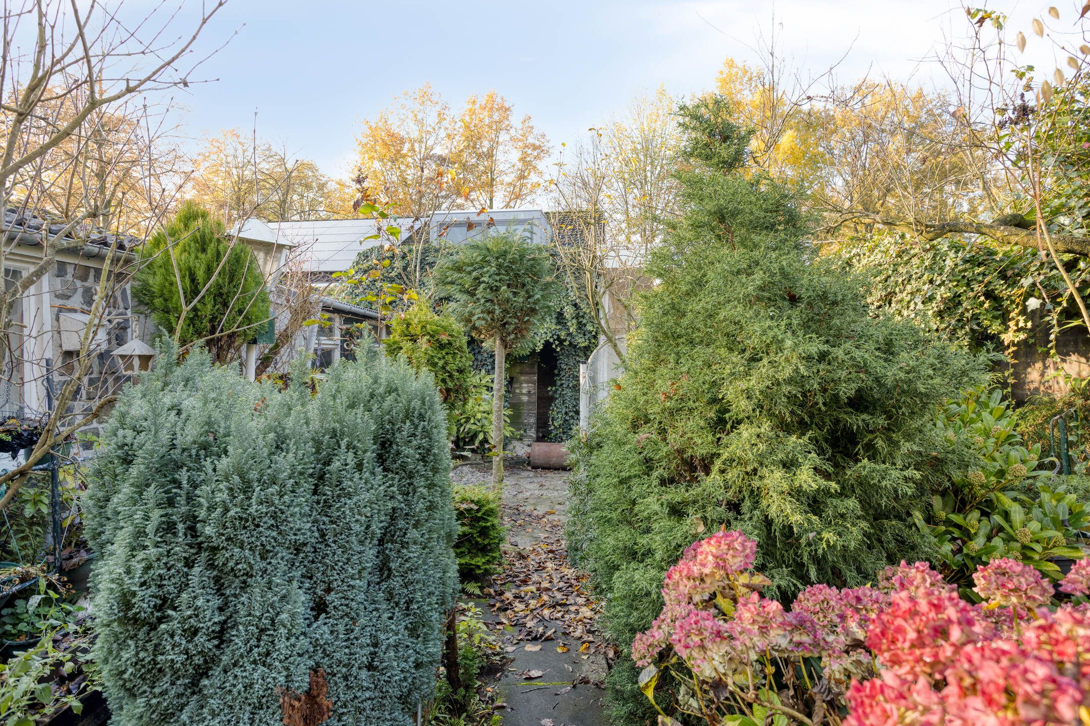 Foto 33 van Kerkstraat 54