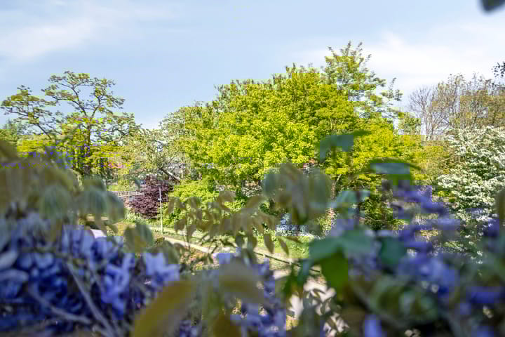 Foto 24 van Wandeling 13