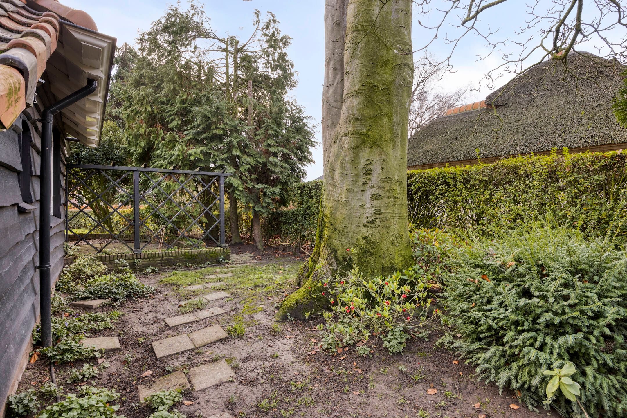 Photo 36 of Beatrixstraat 8