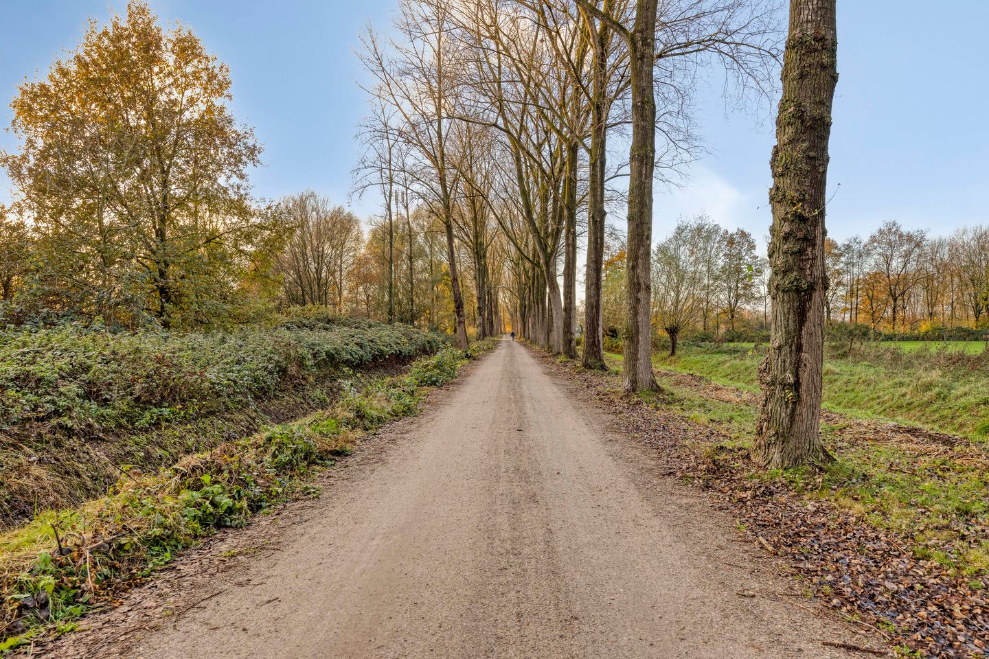 Photo 34 of Spoorven 154