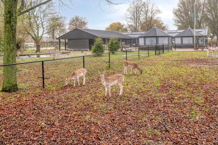 Photo 37 of Breeuwerstraat 20