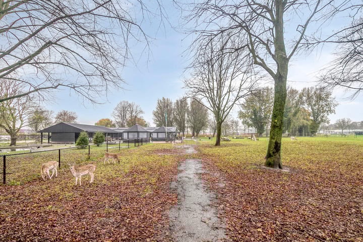 Photo 38 of Breeuwerstraat 20