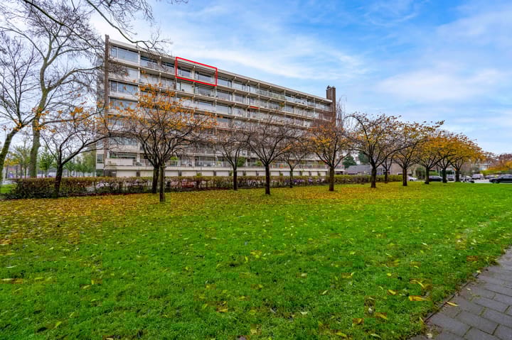 Foto 22 van Suzannaland 230